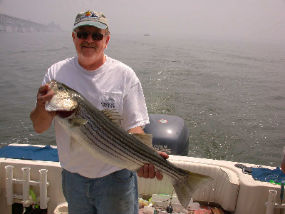 05/2003 Foggy morning in May for trophy Rock brightens up!