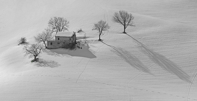 Little House