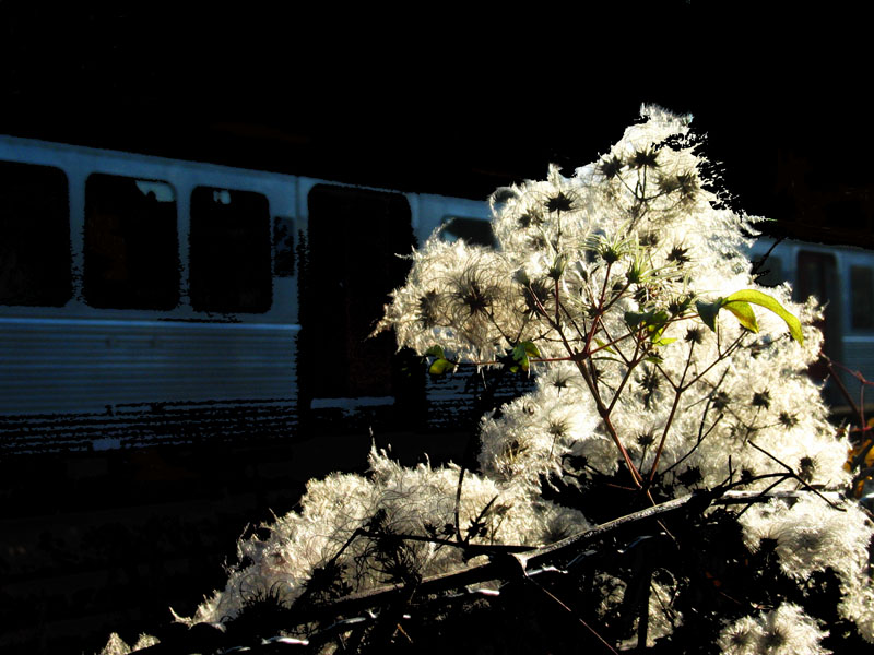 Downtown train