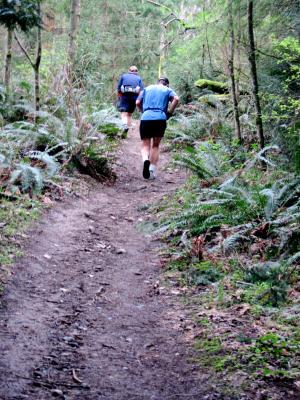 Trail to aid station 2