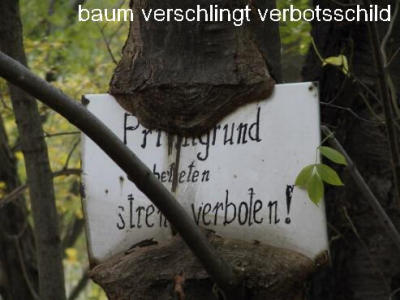 keine Kunst