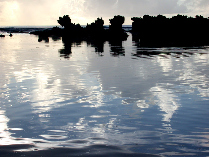 DSCN4983.jpg