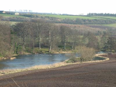 010. River Teviot getting near to Kelso.JPG
