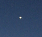 IMG_0019crop.jpg