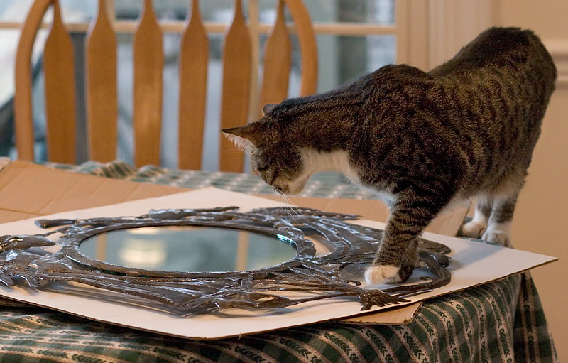 Louie Inspects