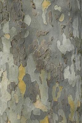7B9S2107.jpg