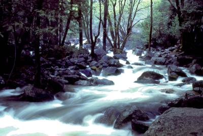Stream in Smoky Mtn National Park, 2000