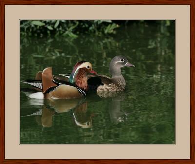 Unlikely Pair