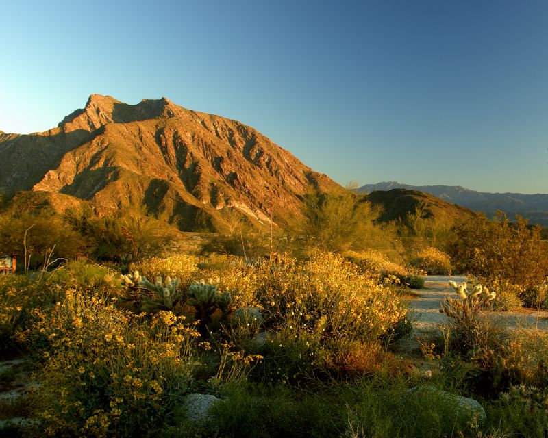 Sunrise, Visitor Center