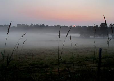 Fog at Sunrise