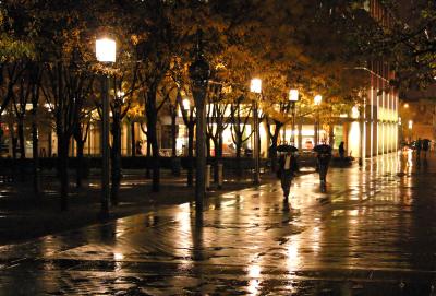 IMG_6398---walkin in the rain-cropped_filtered---noise reductn.jpg