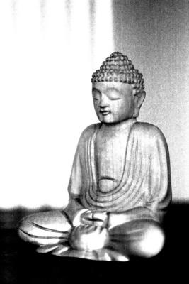March 20 - buddha