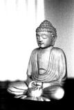 March 20 - buddha