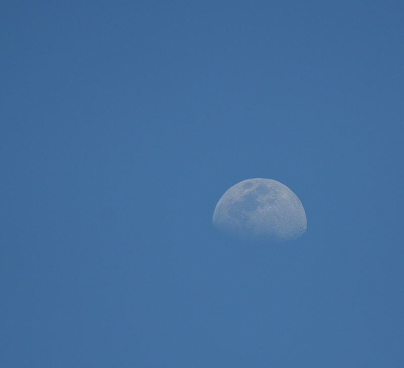 moon over the refuge