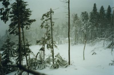 Phillips Brook sledding '98