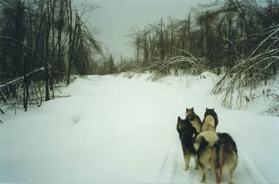 u5/kaboommals/medium/41038404.Anotherhill.jpg