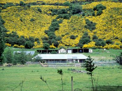 December 2, 1999 --- Hurunui River, South Island, New Zealand