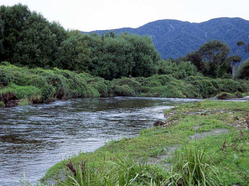 sc96_06.jpg