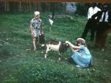 Jamaica kimo and Phillis playing with our supper the goat.