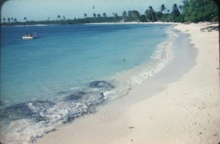  Discovery Bay Jamaica