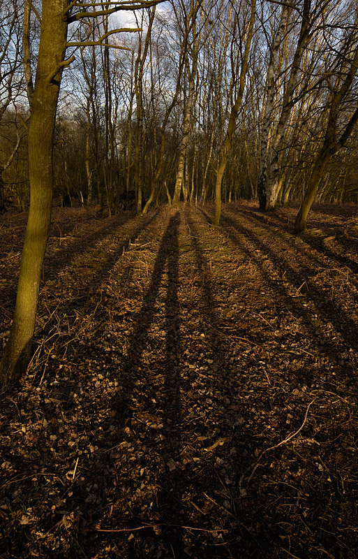 The Landscape Photographer by Jono Slack