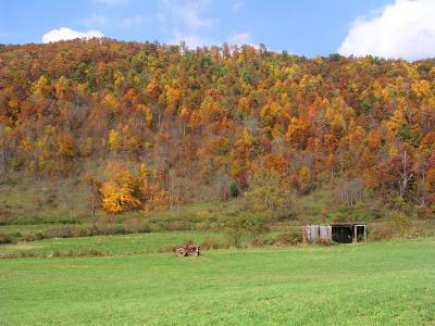 Out to Pasture