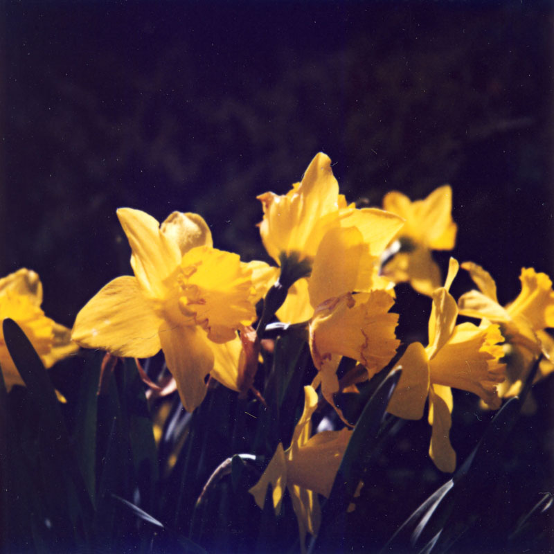 March 18 2005