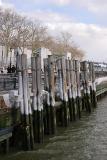 icy wharf