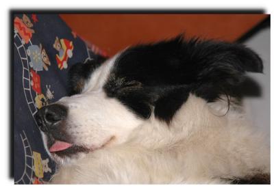 lussy_sleep_0066