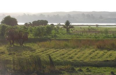 Nile at Dusk3.jpg