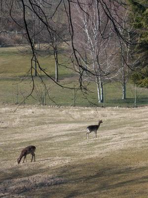 PICT0883.jpg