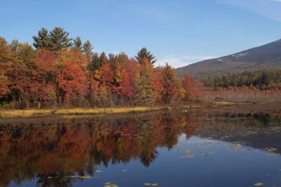 Lake color