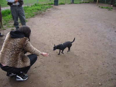 104-0456_IMG.JPG