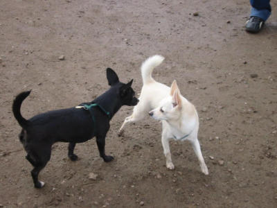 104-0457_IMG.JPG