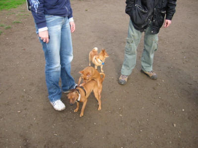 104-0461_IMG.JPG