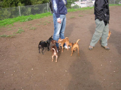 104-0462_IMG.JPG