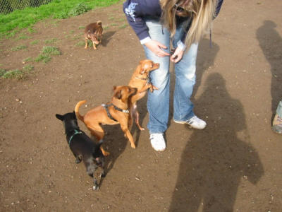 104-0463_IMG.JPG