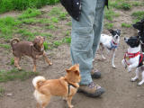 104-0458_IMG.JPG