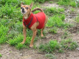 104-0460_IMG.JPG