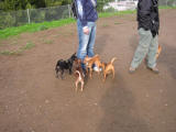 104-0462_IMG.JPG