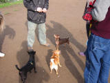 104-0464_IMG.JPG