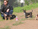 104-0477_IMG.JPG