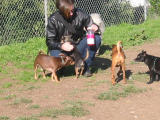 104-0478_IMG.JPG