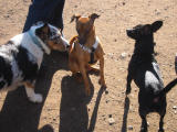 104-0481_IMG.JPG