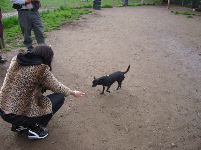 104-0456_IMG.JPG