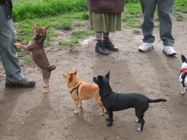104-0459_IMG.JPG