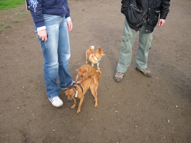 104-0461_IMG.JPG