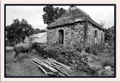 oldest house.jpg