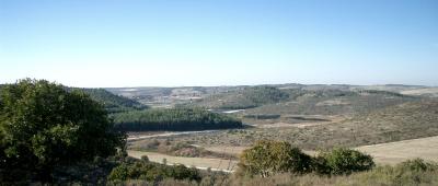 Veiw from 186 hill - Ramot Menashe -2.jpg