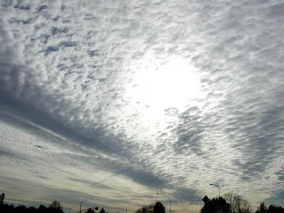 Nimbocumulus (or is it stratus?) cloud.